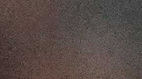 Vladimir Guerrero Jr. ha sido una pesadilla para los Yankees.