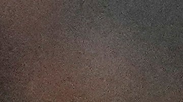 Vladimir Guerrero Jr. ha sido una pesadilla para los Yankees.