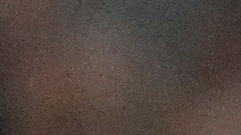 Vladimir Guerrero Jr. ha sido una pesadilla para los Yankees.