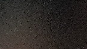 New York Yankees dan señales de vida y ganan el primero ante Blue Jays guiados por la ofensiva de Aaron Judge