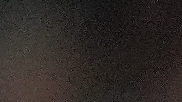 New York Yankees dan señales de vida y ganan el primero ante Blue Jays guiados por la ofensiva de Aaron Judge