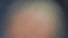 Jazz Chisholm Jr. se disculpa por error ante los Blue Jays.