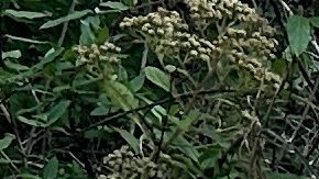 Un cartel se exhibe cerca del lugar de una explosión en una planta de fabricación de explosivos, a unas 60 millas al suroeste de Nashville, Tennessee.