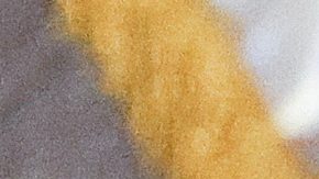 Trump hizo una mención explícita al programa nuclear iraní, que motivó que en junio EE.UU. bombardeara sus instalaciones.