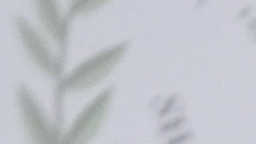 Encuentro entre primer ministro de Canadá y Donald Trump