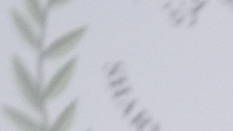 Encuentro entre primer ministro de Canadá y Donald Trump