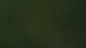 Representante demócrata de Arizona, Adelita Grijalva