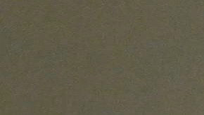 Presidente de EE.UU., Donald Trump