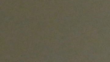 Presidente de EE.UU., Donald Trump