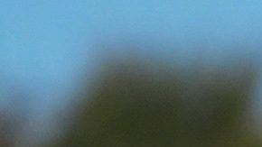 MLB: Dodgers ponen en jaque a Brewers y quedan a una victoria de volver a la Serie Mundial