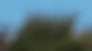 MLB: Dodgers ponen en jaque a Brewers y quedan a una victoria de volver a la Serie Mundial