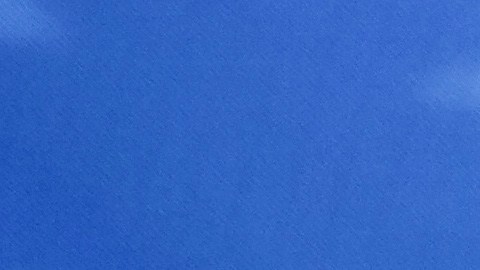 Election 2025 New York Mayor