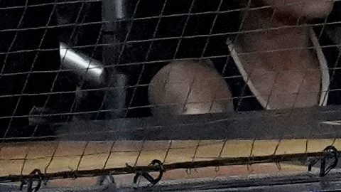 Los jugadores de los Seattle Mariners observan desde el dugout durante la novena entrada del Juego 6 de la Serie de Campeonato de la Liga Americana de béisbol contra los Toronto Blue Jays, el domingo 19 de octubre de 2025, en Toronto.
