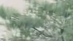 Agentes federales caminan por la calle Lafayette mientras los manifestantes los siguen tras una redada migratoria en la calle Canal, atravesando Chinatown, el martes 21 de octubre de 2025, en Nueva York.