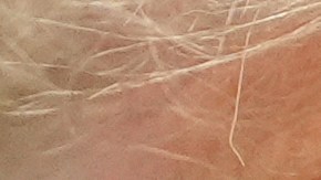 Donald Trump en la Oficina Aval de la Casa Blanca