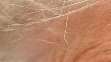 Donald Trump en la Oficina Aval de la Casa Blanca