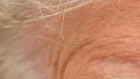 Donald Trump en la Oficina Aval de la Casa Blanca