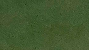 Blue Jays tomaron ventaja en la Serie Mundial ante Dodgers con jonrón del mexicano Alejandro Kirk