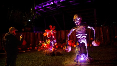 Cada vez aumenta la costumbre de crear atuendos en casa y disfrutar en familia.