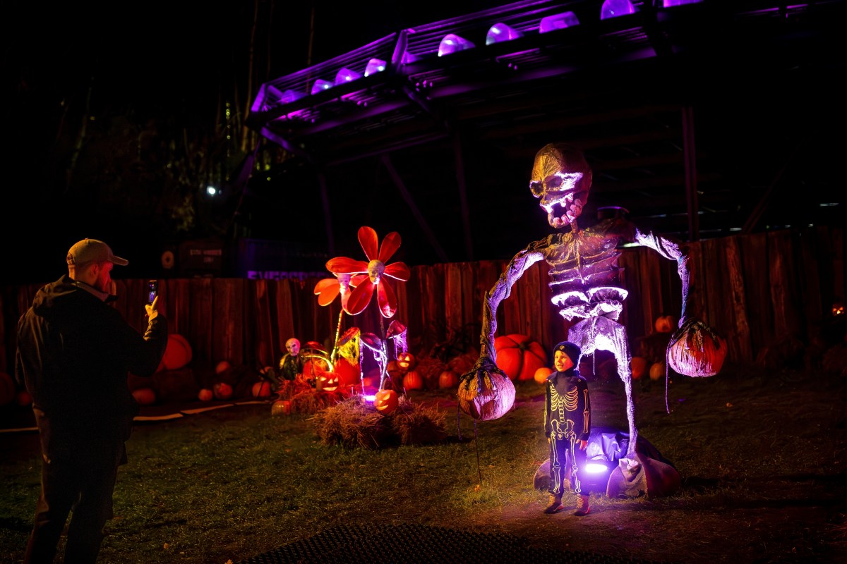 5 disfraces de Halloween para niños que se pueden hacer en casa