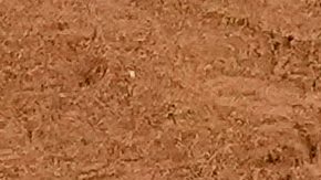 Vladimir Guerrero Jr., de los Toronto Blue Jays, celebra después de un jonrón que pasó por encima del receptor de los Los Angeles Dodgers, Will Smith, durante la tercera entrada del Juego 4 de la Serie Mundial de béisbol, el martes 28 de octubre de 2025, en Los Ángeles.