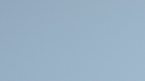 Un número significativo de niños murió tras el reciente ataque.