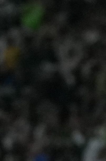 Palmeiras se apuntó remontada histórica ante Liga de Quito y se metió en la final de la Libertadores