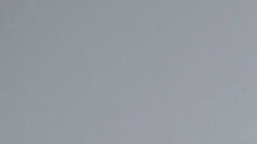 Protesta de empleados federales en Puerto Rico