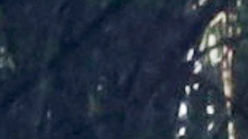 Tras apersonarse los paramédicos y funcionarios del NYPD, un grupo de rescatistas pudo sacar a la mujer y al bebé del agua.