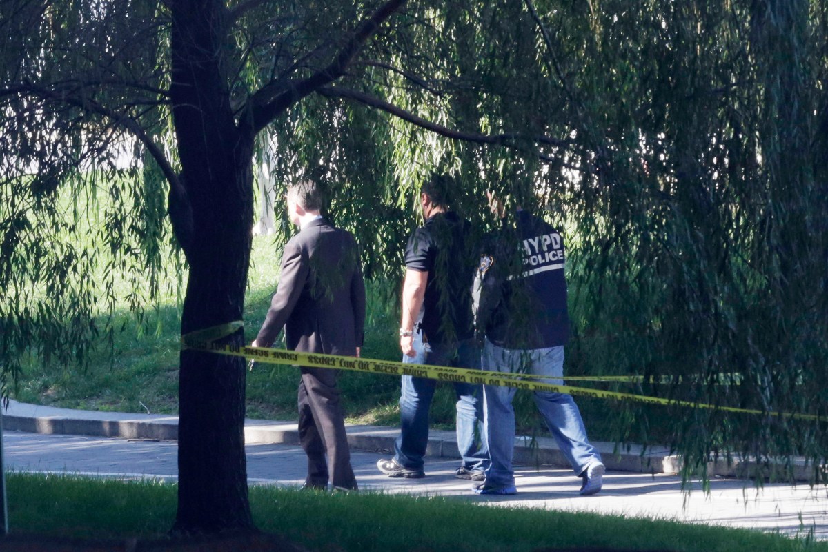 Expolicías rescatan a mujer que caminaba con un bebé en brazos hacia el East River