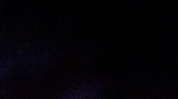 La policía ha arrestado una cantidad grande de personas por violencia doméstica en los últimos años, incluyendo más de 60,000 en 2024.