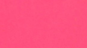 Adamari López, presentadora boricua de televisión.