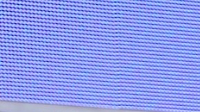 Adamari López, presentadora de televisión.