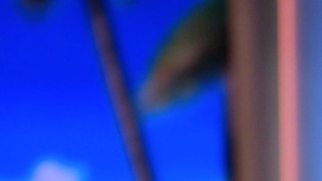 Adamari López, actriz puertorriqueña, habla de la pedida de mano a Dayanara Torres.