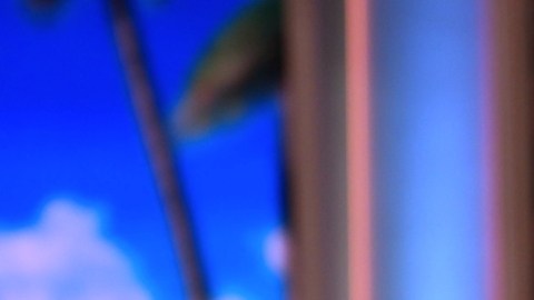 Adamari López, actriz puertorriqueña, habla de la pedida de mano a Dayanara Torres.