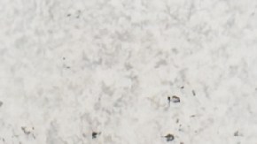 Para evitar tentaciones hay cuatro tipos de alimentos que no se recomienda tener en casa.
