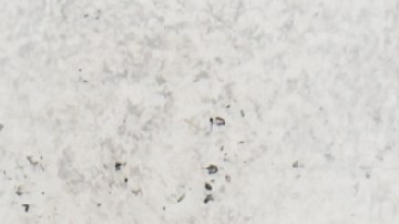 Para evitar tentaciones hay cuatro tipos de alimentos que no se recomienda tener en casa.