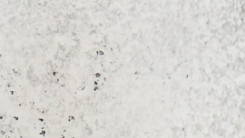 Para evitar tentaciones hay cuatro tipos de alimentos que no se recomienda tener en casa.