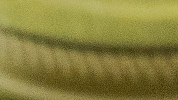 Las almendras son fuente de nutrientes que ayudan a bienestar en general.