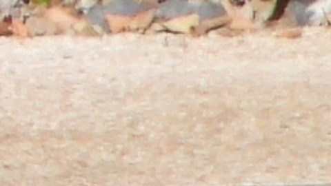 Anne Hathaway y Adam Shulman tienen dos hijos.