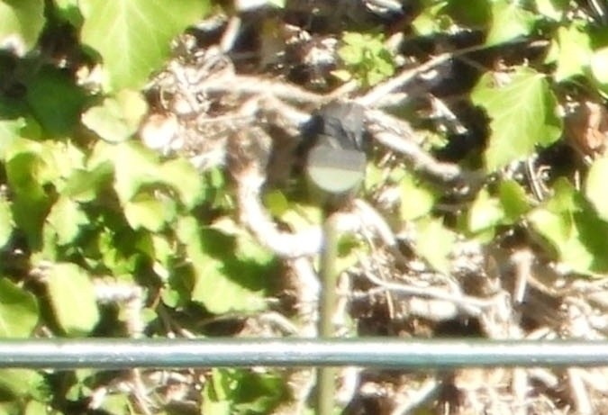 Anne Hathaway aprovechó su viaje de trabajo.