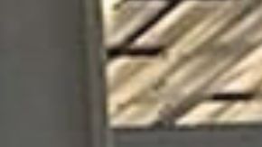 Casey Goslin, de 46 años, operaba en línea con dos nombres de usuario.