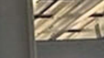 Casey Goslin, de 46 años, operaba en línea con dos nombres de usuario.