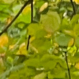 Deliveristas y vendedores ambulantes marcharon para exigir que paquete de protecciones en el Concejo Municipal se apruebe