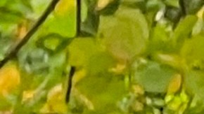 Deliveristas y vendedores ambulantes marcharon para exigir que paquete de protecciones en el Concejo Municipal se apruebe