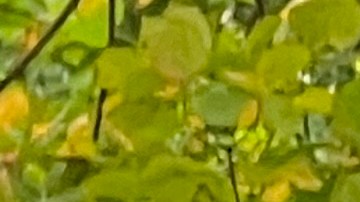 Deliveristas y vendedores ambulantes marcharon para exigir que paquete de protecciones en el Concejo Municipal se apruebe