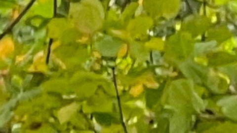 Deliveristas y vendedores ambulantes marcharon para exigir que paquete de protecciones en el Concejo Municipal se apruebe