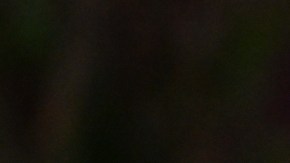 Billie Eilish asisitió a los los WSJ Magazine Innovator Awards