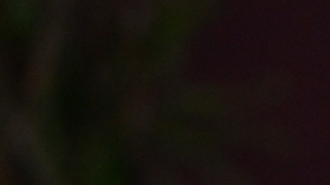 Billie Eilish asisitió a los los WSJ Magazine Innovator Awards