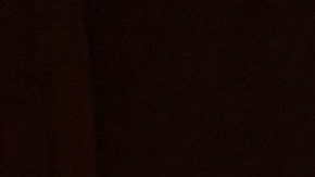 La propuesta de Blu Ember celebra la cocina New American con alma asiática, donde los sabores de Oriente y Occidente se encuentran.